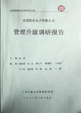 2011年3月15日，正睿咨詢專家向凱東決策層陳述調(diào)研報告